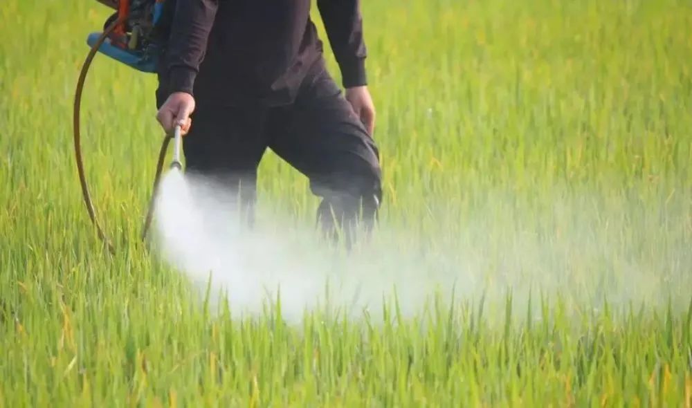 【冷知識】農藥經營許可（其他農藥）這樣辦理！