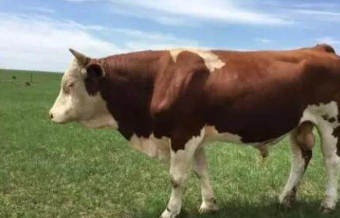 三農日報|政策：農藥獸藥生產經營再迎監管；院士：營養健康是食品的核心競爭力