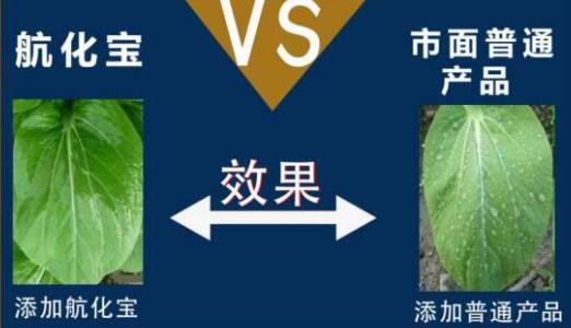 綠色農業未來可期！花王植保無人機專用飛防助劑上市，減藥不減效