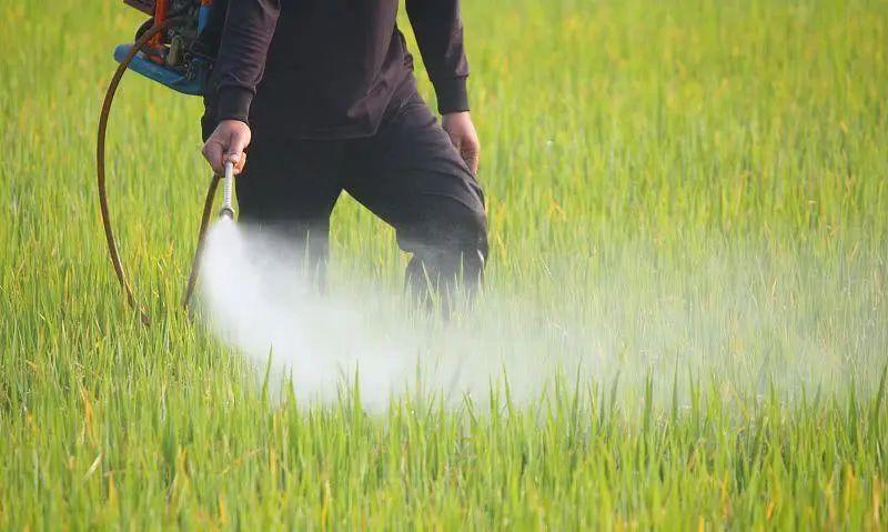 【政策解讀】重磅!《“十四五”全國農藥產業發展規劃》印發（附全文）