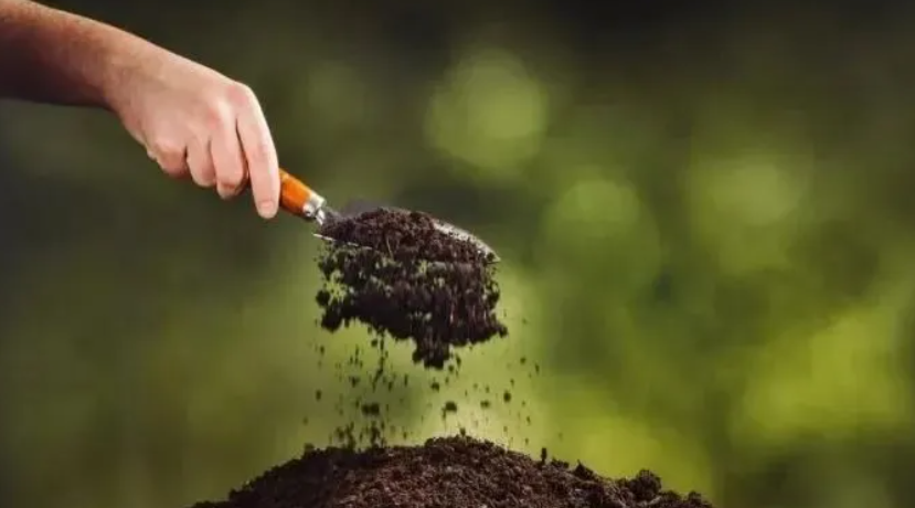 【有機(jī)肥行業(yè)】我國有機(jī)肥資源及產(chǎn)業(yè)發(fā)展現(xiàn)狀