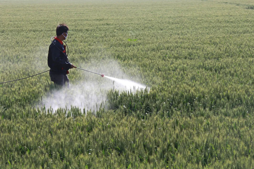 【農藥產業】快速發展的生物農藥，面臨著哪些機遇和趨勢