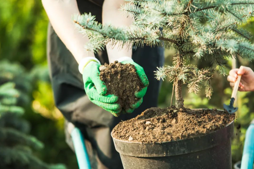 【有機肥產業】這十大生物有機肥料新技術值得關注！