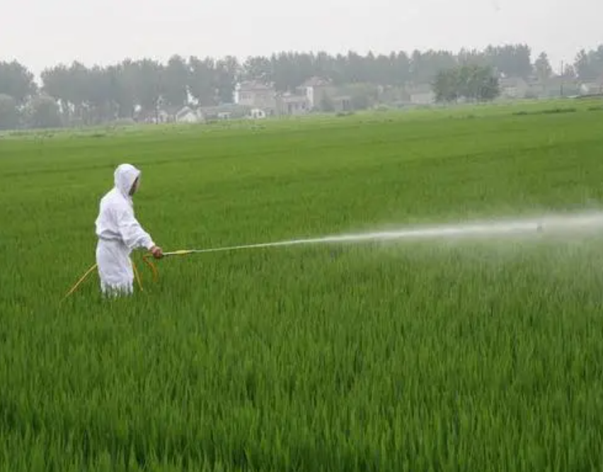 【生物農藥】國內生物農藥發展現狀