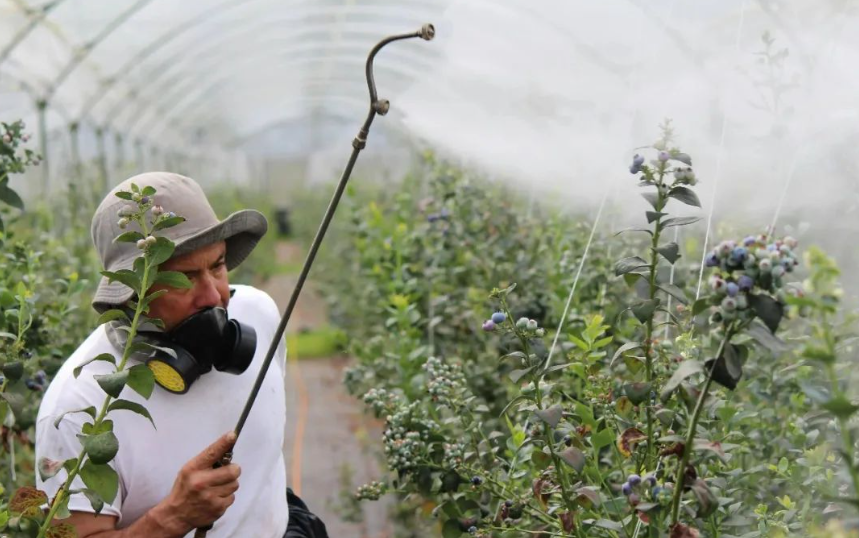 【農藥行業】2025年中國農藥產業現狀及趨勢分析