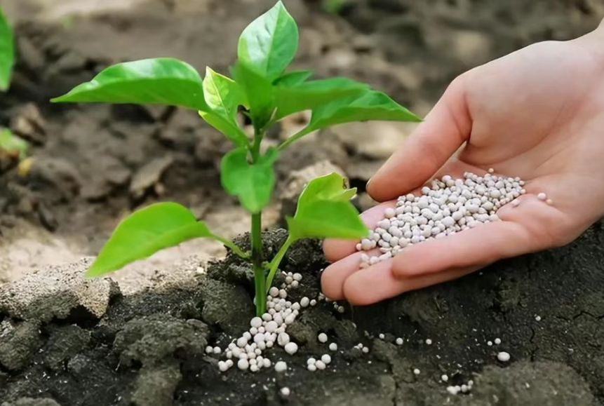 【知識科普】生物農藥有哪些？如何辨別？