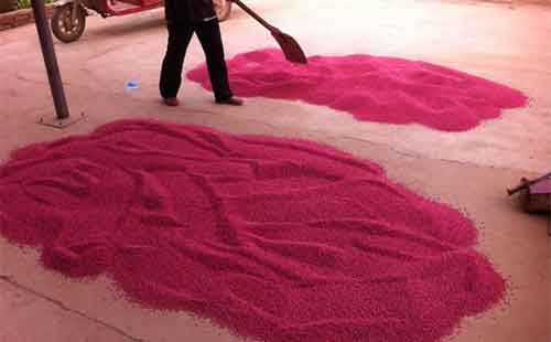 小麥拌種劑的作用有哪些？選擇時存在哪些誤區(qū)？