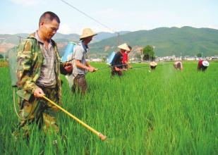 農藥營銷對癥下藥，找準農民的用藥心理