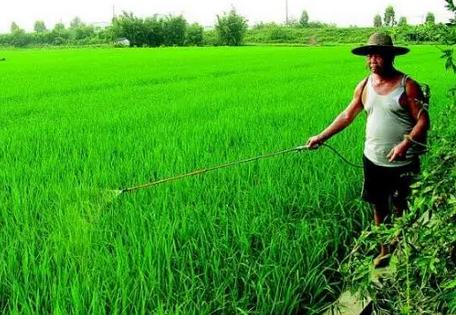 農藥 | 還用“土辦法”噴施農藥?真的會出大問題!