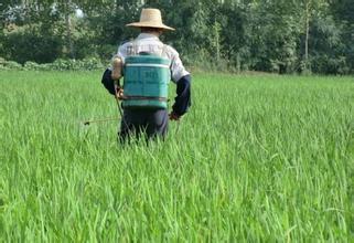 農藥 | 農民欠收、糧價低，你說為啥你的大牌農藥沒市場？！