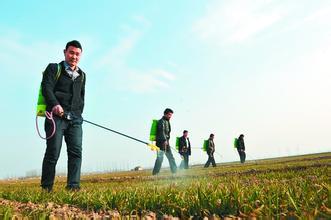 請注意：冬季農藥存儲有絕招！