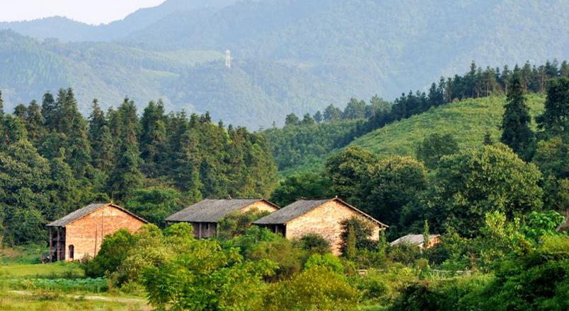 家庭農(nóng)場不掙錢?看看這些掙錢“小妙招”