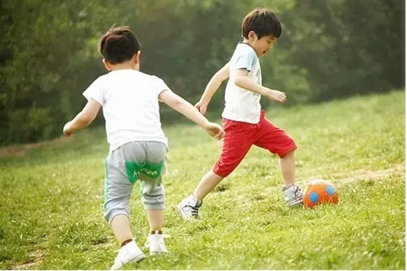 休閑農(nóng)業(yè)新秀：“共享農(nóng)場”問世！