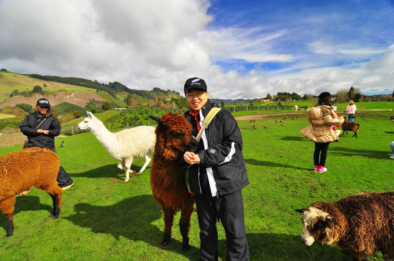 經(jīng)營案例｜換個思路做農(nóng)場：6個新興打法，農(nóng)場效益至少翻百倍