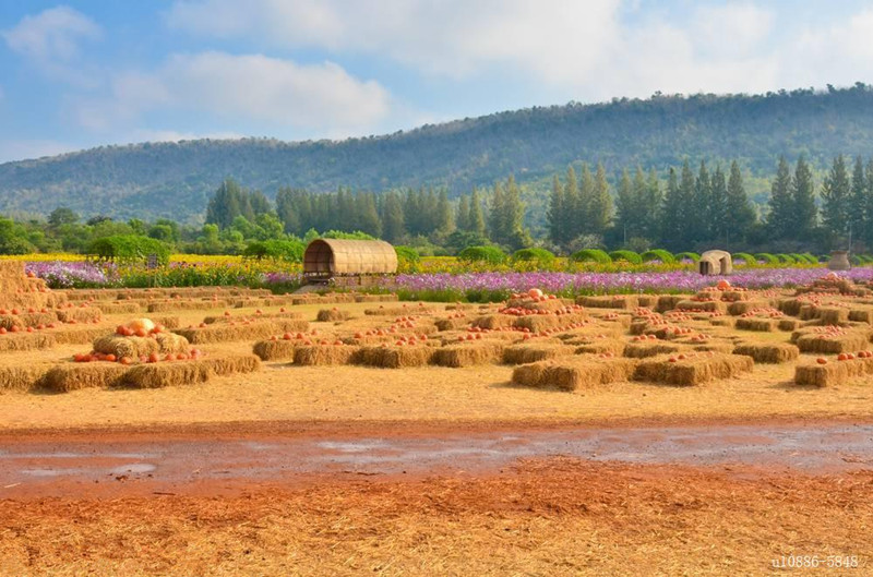 互聯(lián)網(wǎng)時代下如何做好農(nóng)場的經(jīng)營管理？