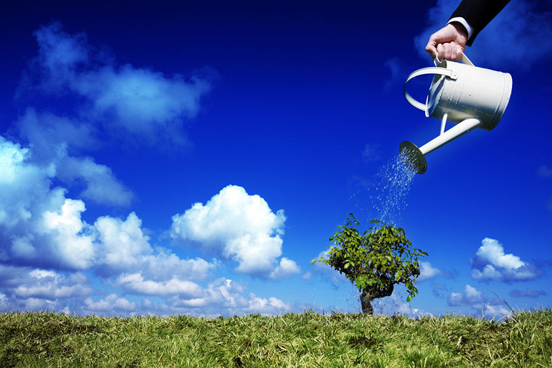 案例|一位IT女博士，農(nóng)場銷售過億，揭秘阿卡農(nóng)場6大成功秘方