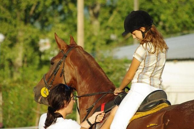 看看老外的農(nóng)場經(jīng)營模式，你就知道什么能掙錢了！