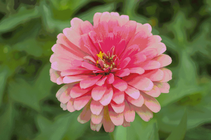 嫁接自然教育，會給你的農(nóng)場帶來怎樣的魔力？