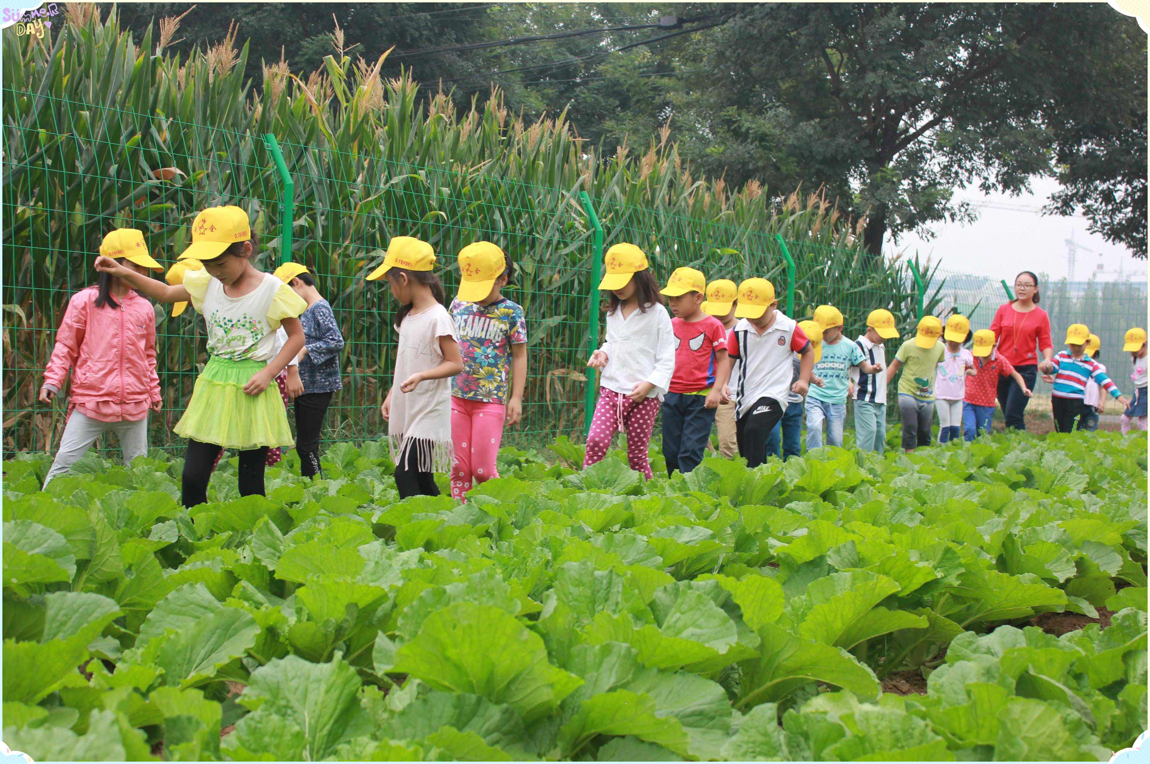 幼兒園+農場，另一種兒童教育打開模式？這些地方已經悄悄實現了……
