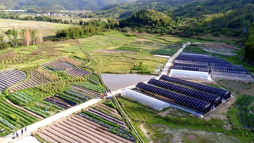 案例|3個海歸+3個大學生+1個農業老司機的農業夢