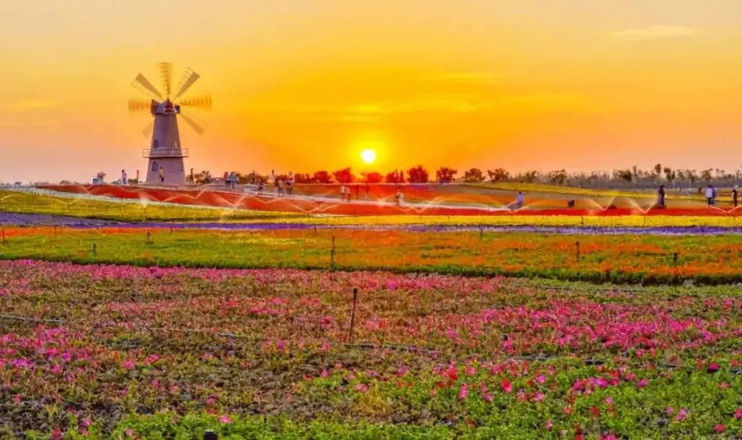 三農日報|生態休閑農業的起源；人工智能代表養殖業進入新的歷史階段