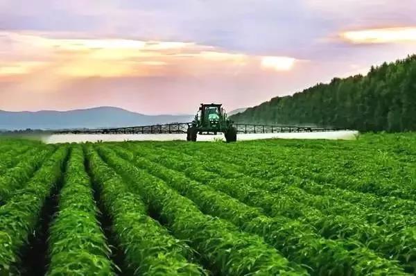 中國農業未來發展新模式，別跟不上時代！