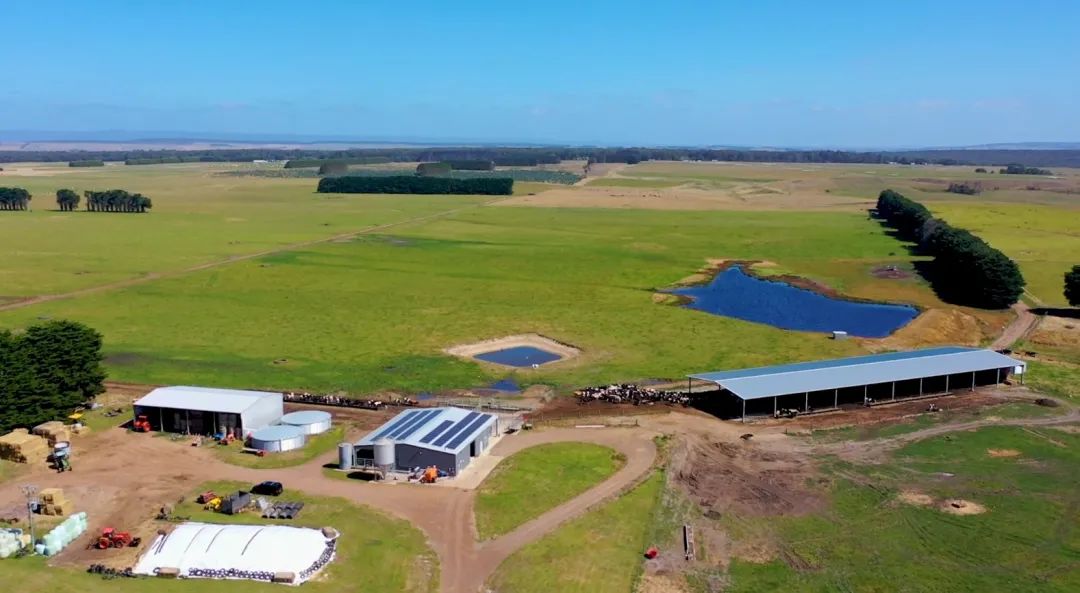 【海外案例】創新農場勢不可擋，自動擠奶領先榜樣