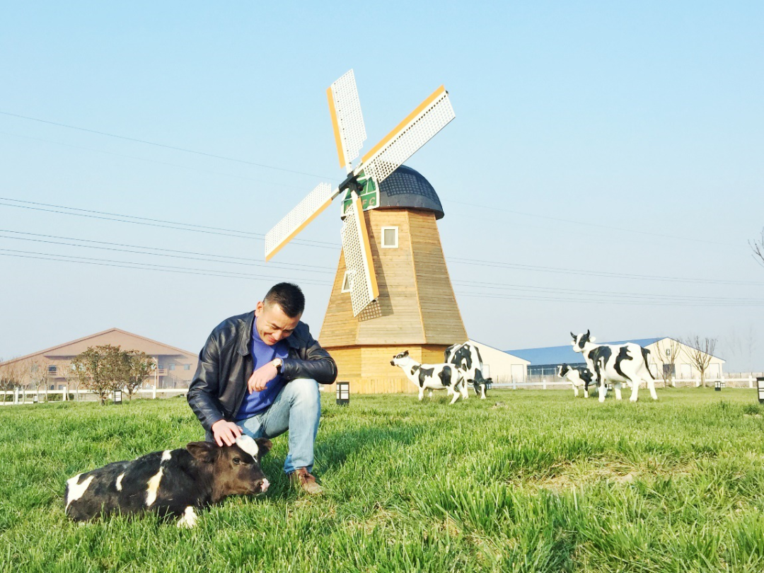 【創業人物】從地產商到農場主，后半生靠養牛年入20億，他有一顆不安分的心