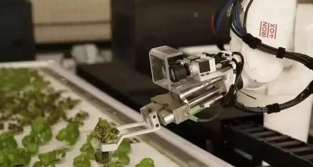 【世界農業案例】美國研發智慧農場，未來蔬菜種植將由機器人操作