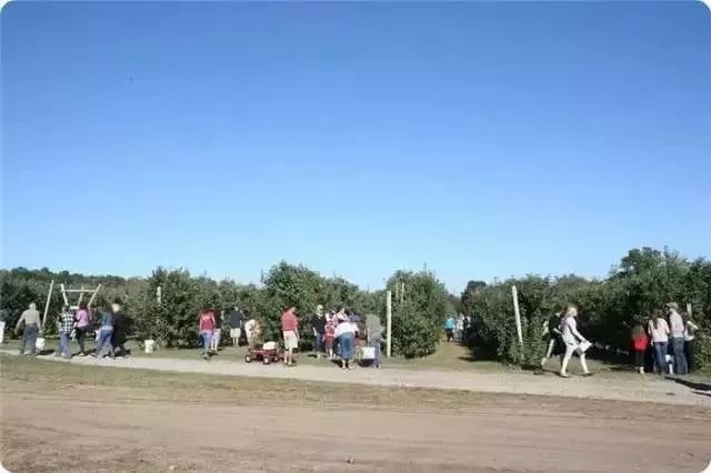 【世界農業案例】一家年入300萬的美國農場，做對了哪些