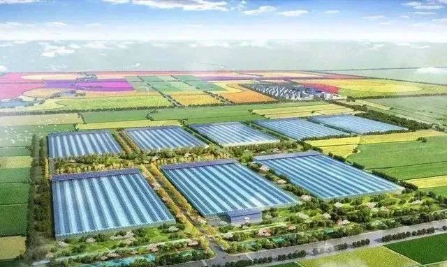 【聚焦新賽道】未來農(nóng)業(yè)的發(fā)展趨勢，都是機遇