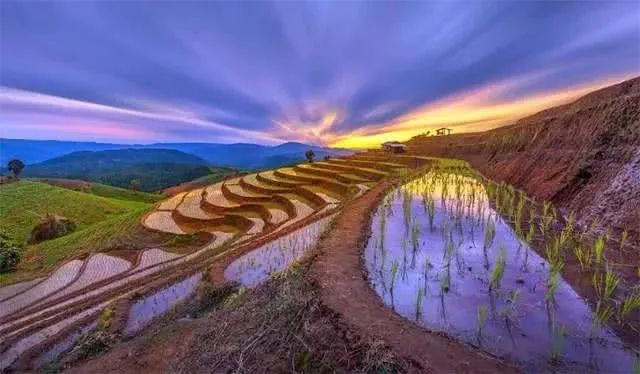 共享農(nóng)業(yè)，農(nóng)業(yè)產(chǎn)業(yè)全要素共享?。ǜ?個階段）