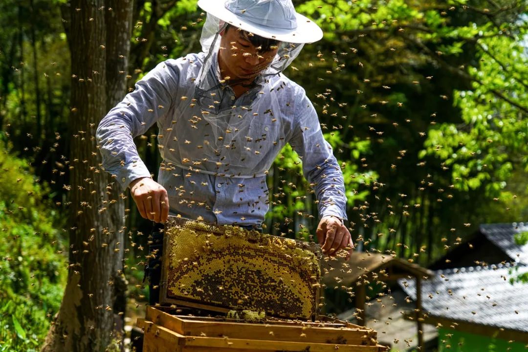 【地方規(guī)劃】什么是未來農(nóng)場？具體怎樣建設(shè)？浙江出臺導(dǎo)則