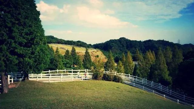 【世界農(nóng)業(yè)案例】體驗(yàn)式營(yíng)銷(xiāo)怎么玩？日本的農(nóng)場(chǎng)是這樣做的！