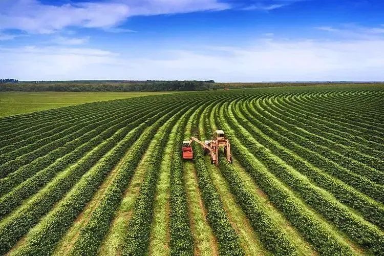 【農(nóng)業(yè)科技】數(shù)字農(nóng)業(yè)應(yīng)該怎樣建設(shè)未來(lái)農(nóng)場(chǎng)