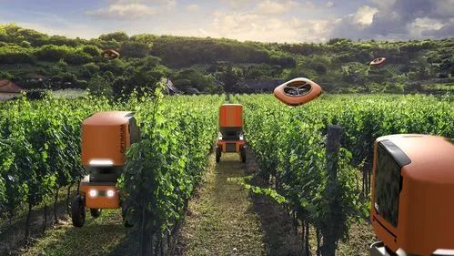 【政策解讀】關(guān)于做好數(shù)字農(nóng)業(yè)工廠和第二批未來(lái)農(nóng)場(chǎng)認(rèn)定申報(bào)的通知