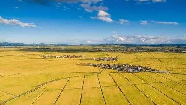 【世界農業案例】世界領先的6大現代農業模式！