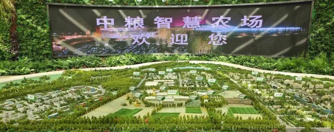 【商業案例】“中糧智慧農場”世界級都市農場，如何進行農業+科技+休閑？
