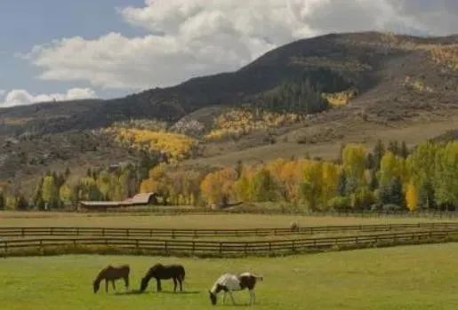 【世界農業案例】美國十大私人牧場