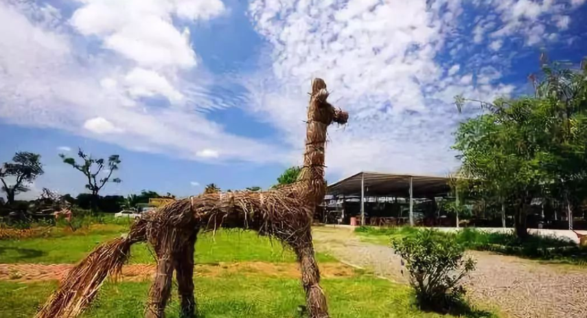 【農場案例】10畝地的小農場如何才能不虧？三個別做！