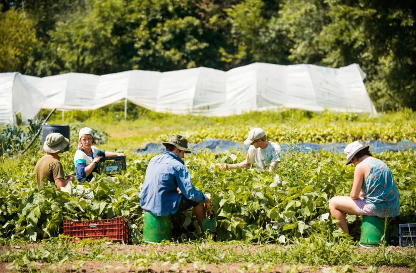 【農(nóng)場經(jīng)營】干貨分享！怎么做好休閑農(nóng)場？