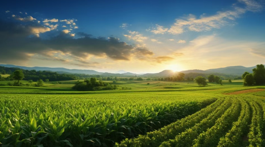 四種模式十個案例，帶你了解生態農場