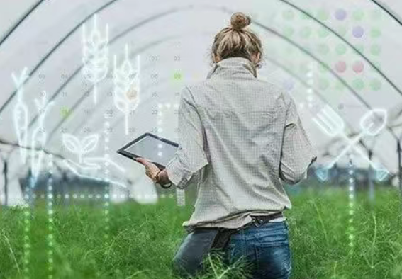 未來已來！數字農場技術改變農業的 5 種方式