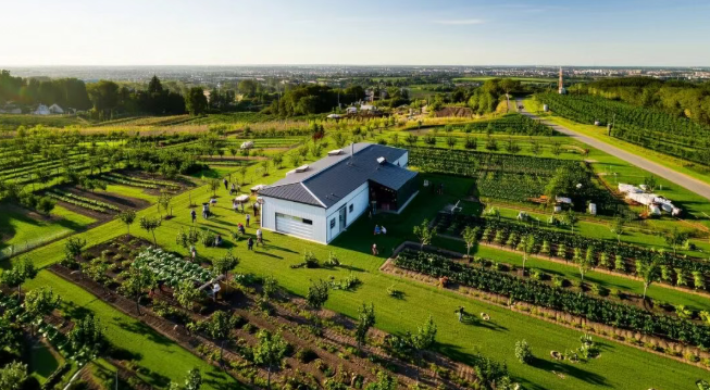 【農場模式】農旅融合盤活小型農場的創新路徑