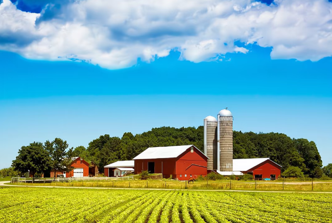 家庭農(nóng)場(chǎng)：中國農(nóng)業(yè)正確的發(fā)展出路