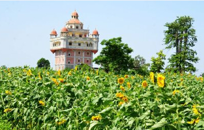 上海市家庭農(nóng)場“近況”如何？看看這些你就知道啦！