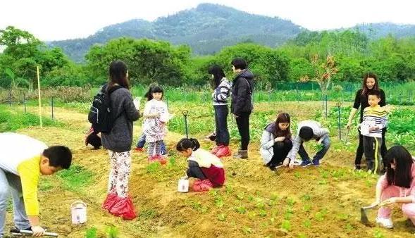 “二孩”經(jīng)濟(jì)來臨，如何打造一家火爆的親子主題農(nóng)場？