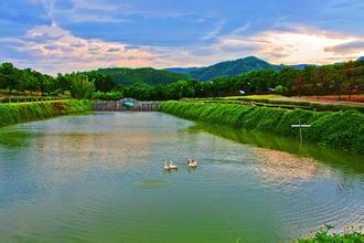 想做好農(nóng)場，看看這兩招！學(xué)學(xué)！