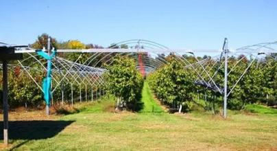 家庭農(nóng)場到底多大規(guī)模才能賺到錢？（不知道的進(jìn)來看看）