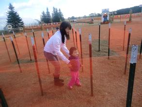 返鄉(xiāng)創(chuàng)業(yè)如何創(chuàng)辦和經(jīng)營家庭農(nóng)場？